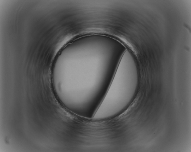 X0000091951325200709061031