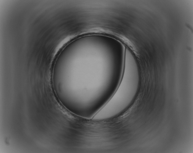 X0000091951326200709061031
