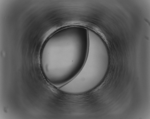 X0000091951328200709061031