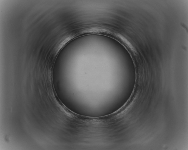 X0000091951329200709061031