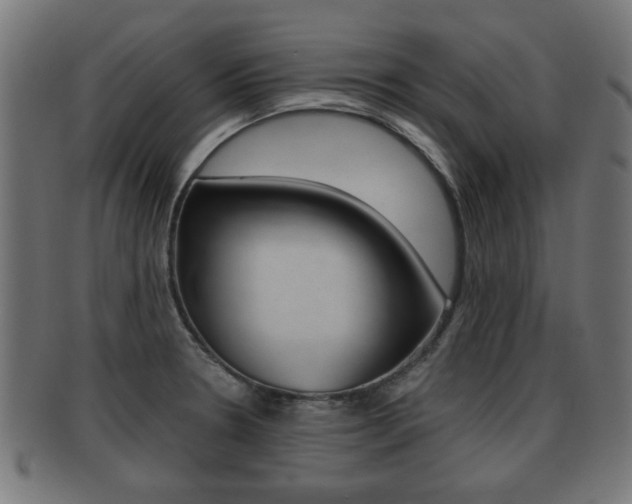 X0000091951330200709061032