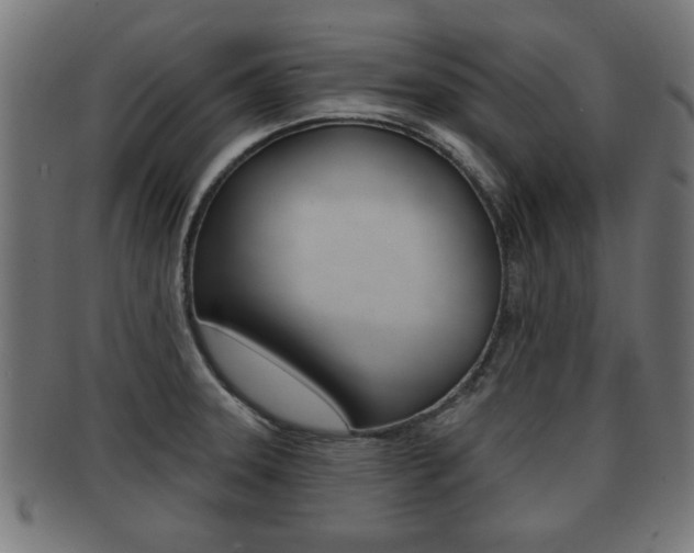 X0000091951331200709061032