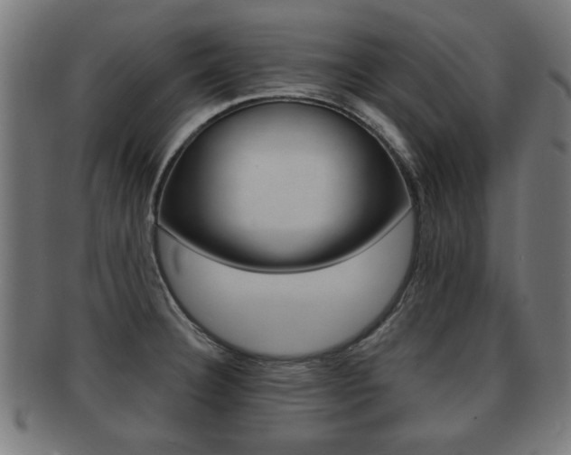 X0000091951332200709061032