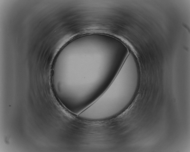 X0000091951333200709061032