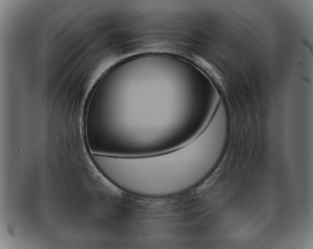 X0000091951334200709061032