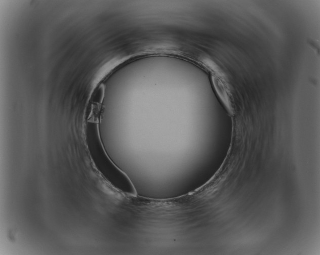 X0000091951336200709061032