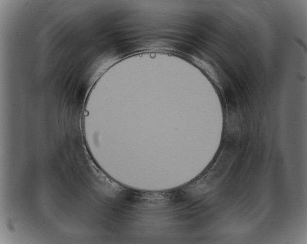 X0000091951338200709061032