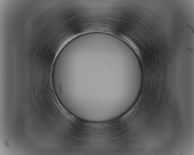 X0000091951340200709061032