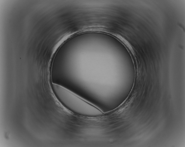 X0000091951341200709061032