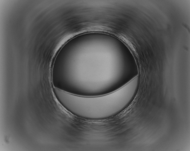 X0000091951342200709061032
