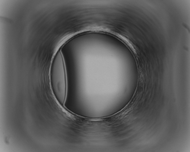 X0000091951343200709061032