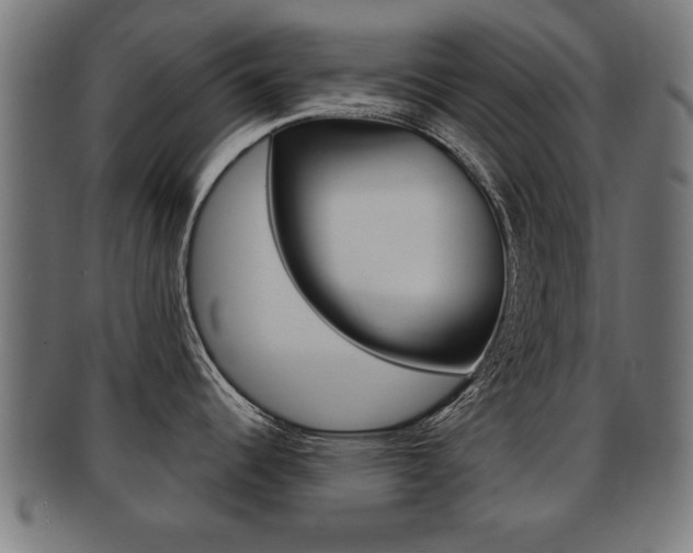X0000091951344200709061032