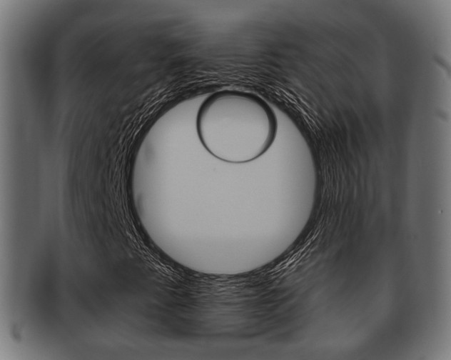X0000091951345200709061031