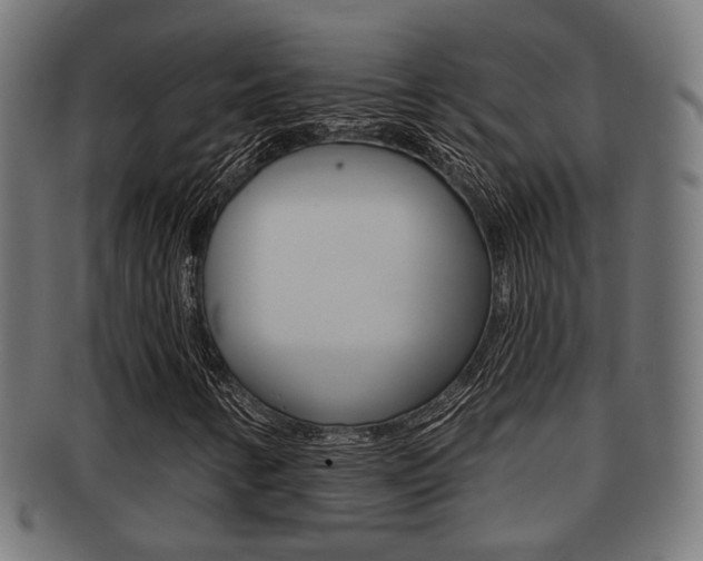 X0000091951346200709061031