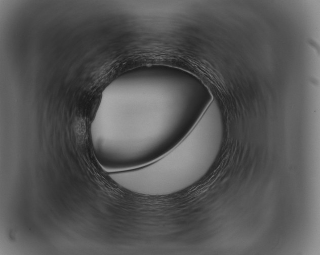 X0000091951347200709061031