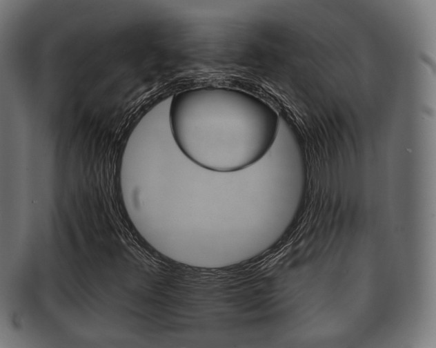 X0000091951348200709061031