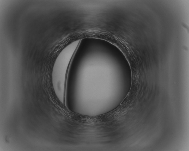 X0000091951349200709061031
