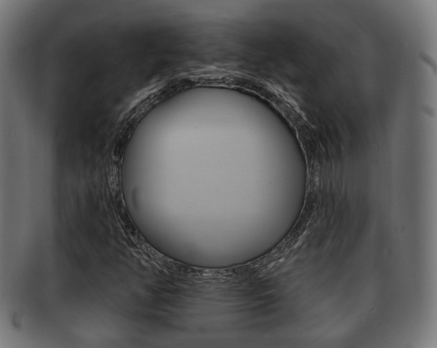 X0000091951350200709061031