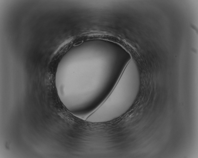 X0000091951351200709061031