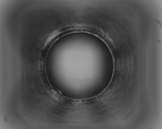 X0000091951352200709061031