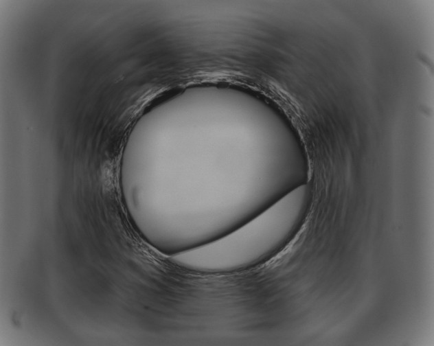 X0000091951353200709061031