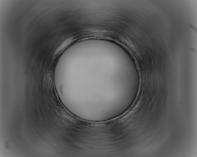 X0000091951354200709061031