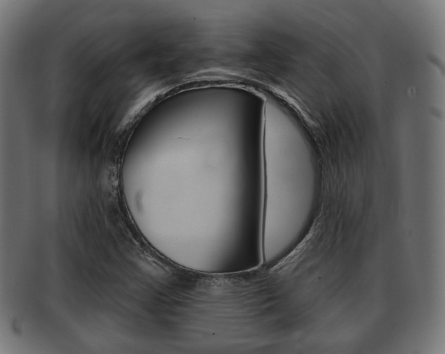 X0000091951355200709061031