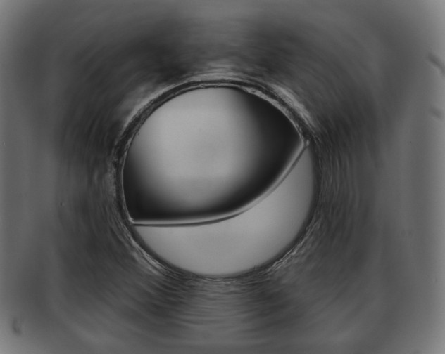 X0000091951356200709061031