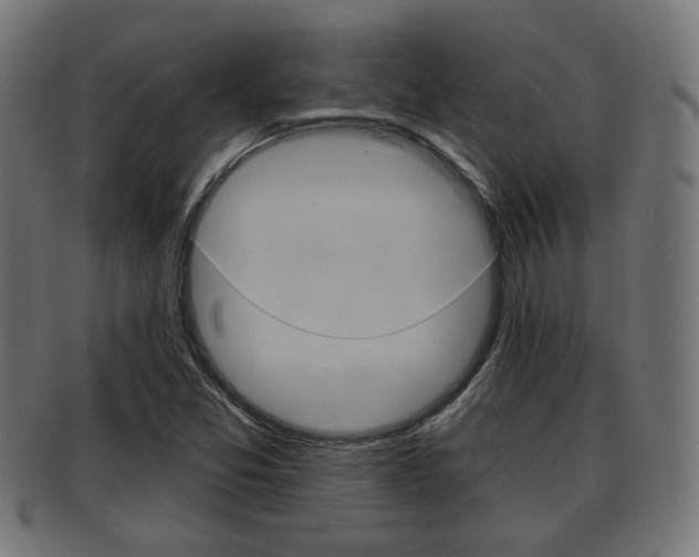 X0000091951357200709061031