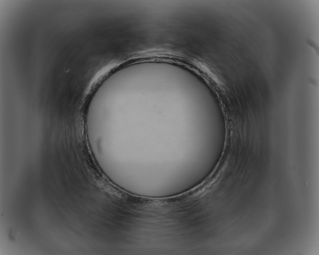 X0000091951358200709061031
