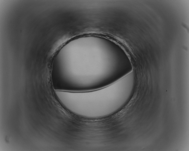 X0000091951359200709061031