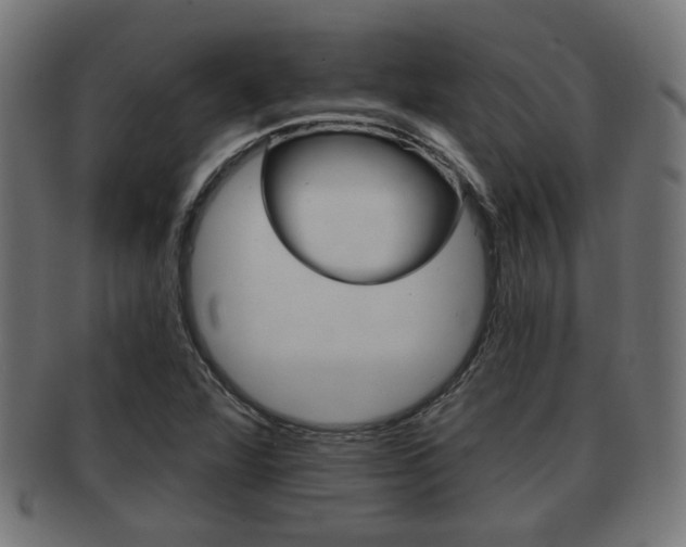 X0000091951360200709061031