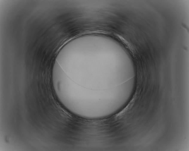 X0000091951361200709061031