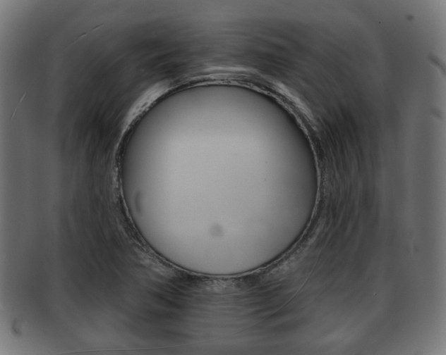 X0000091951362200709061031