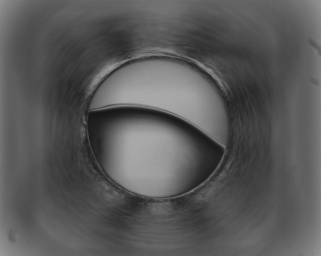 X0000091951363200709061031