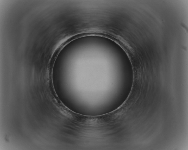 X0000091951364200709061031