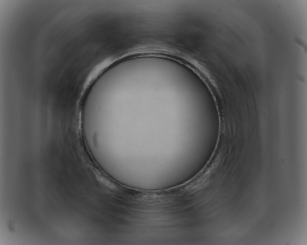 X0000091951366200709061031
