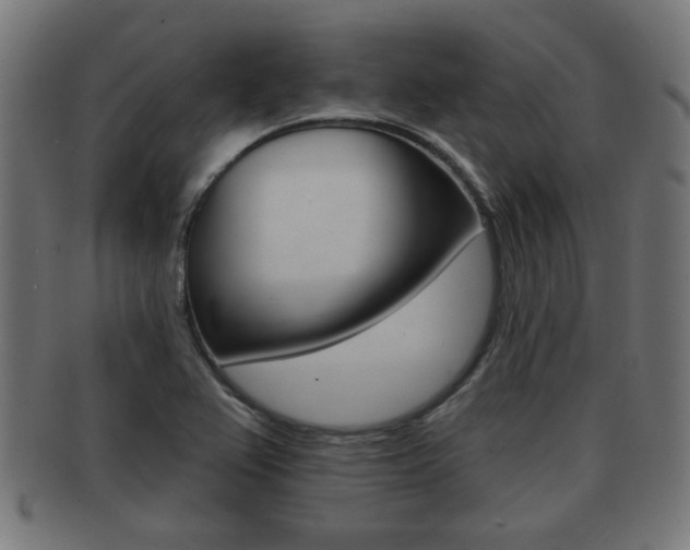 X0000091951367200709061031