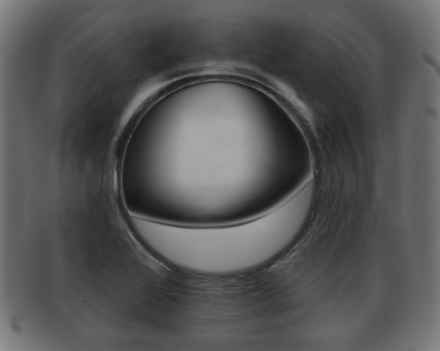 X0000091951368200709061031