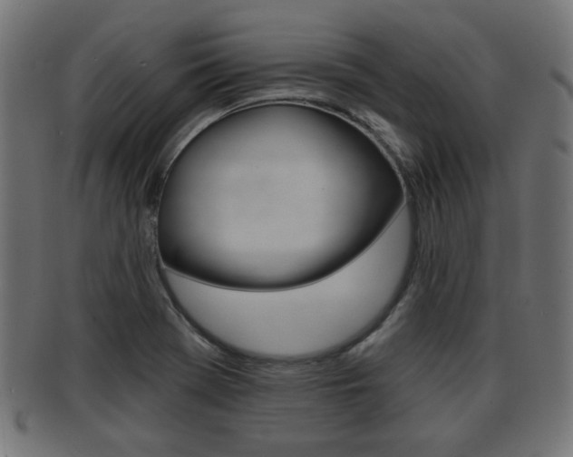 X0000091951369200709061031