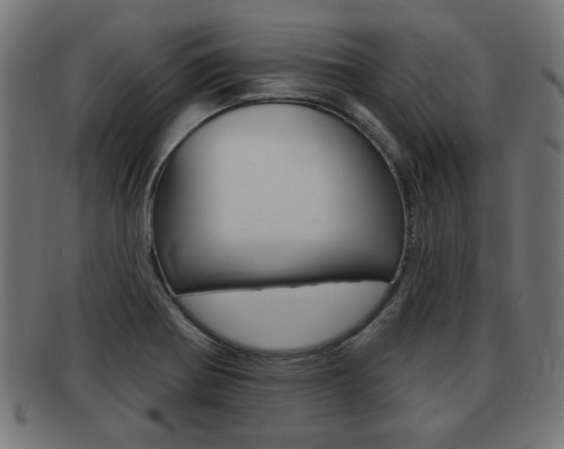 X0000091951370200709061031
