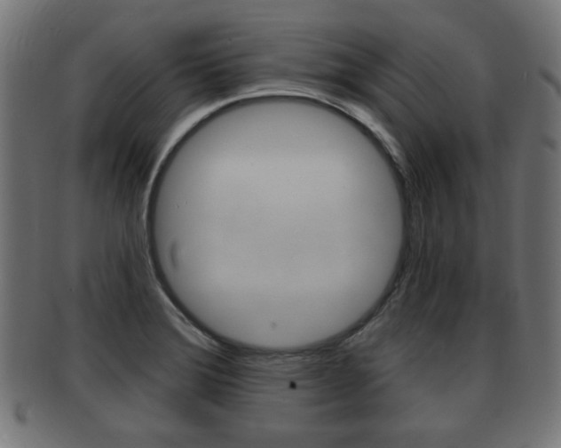X0000091951372200709061031