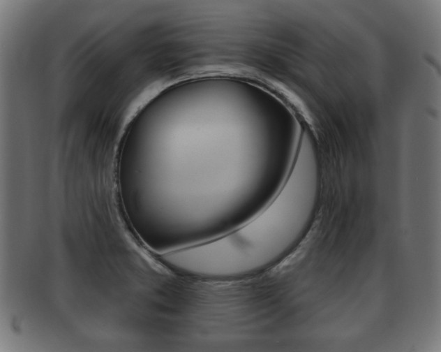 X0000091951373200709061031