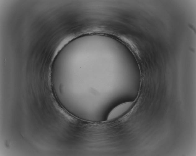 X0000091951374200709061031