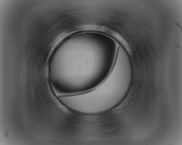 X0000091951376200709061031