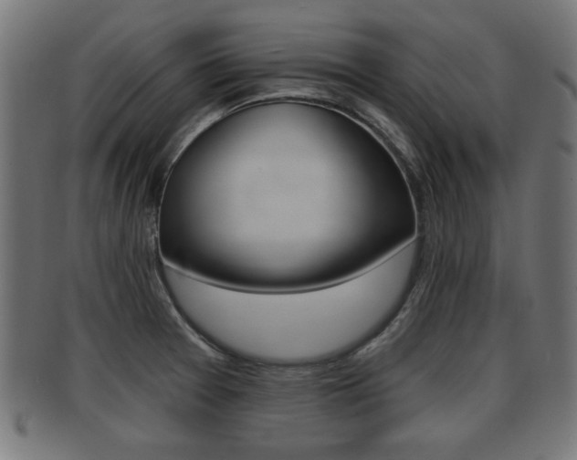 X0000091951377200709061031
