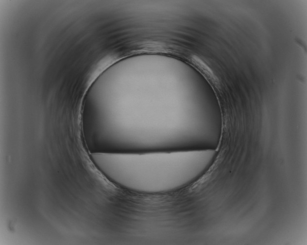 X0000091951378200709061031