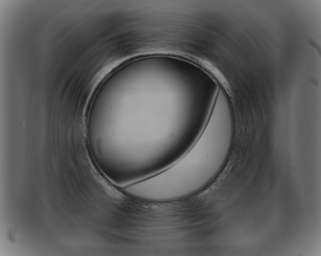 X0000091951380200709061031