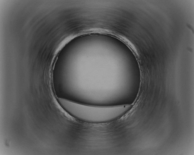 X0000091951381200709061031
