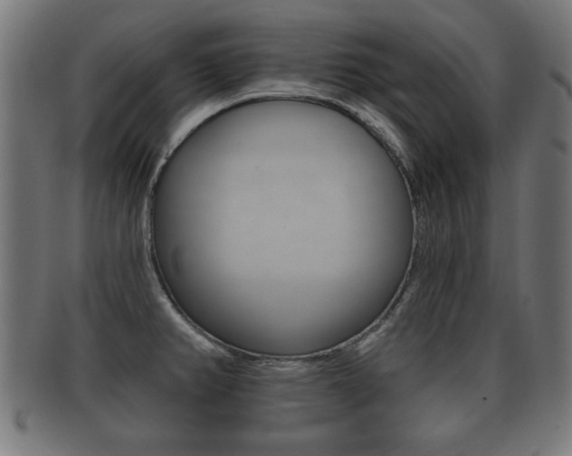 X0000091951382200709061031